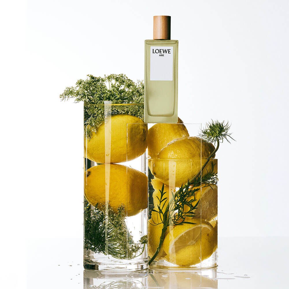 LOEWE AIRE オードトワレ 100ml 楽天市場】＼300円OFFクーポン！期間限定／ロエベ アイレ スティレサ